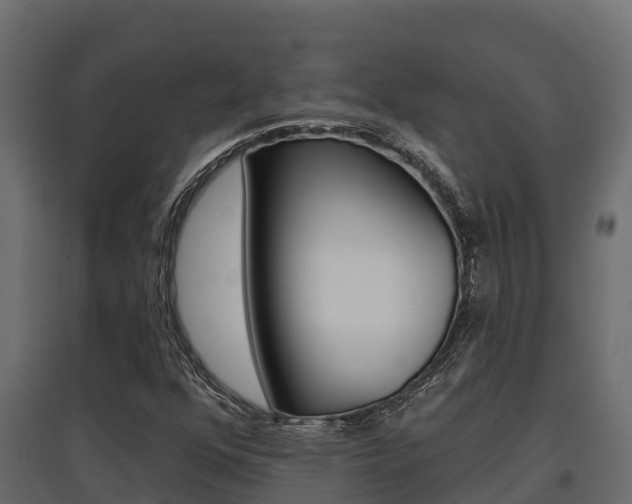X0000097771352200803070850