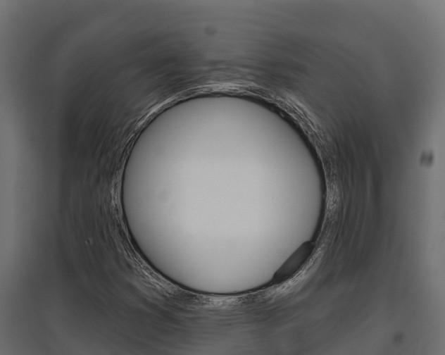 X0000097771353200803070850