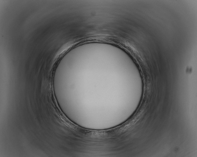 X0000097771354200803070850