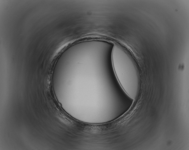 X0000097771355200803070850