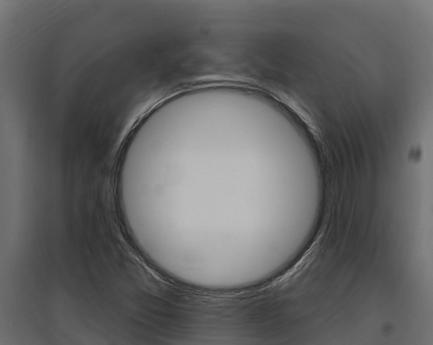 X0000097771357200803070850