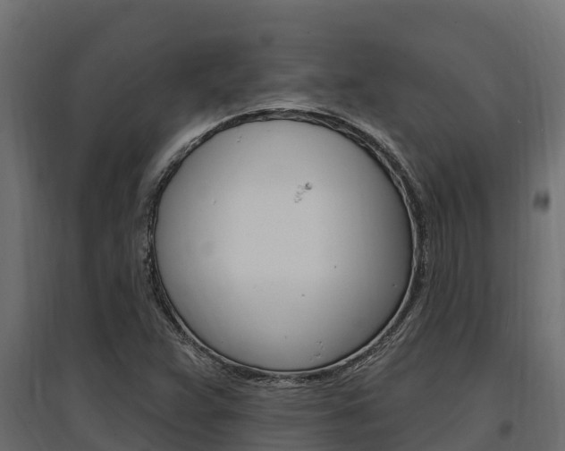 X0000097771359200803070850