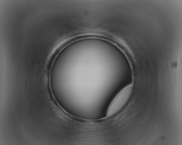 X0000097771360200803070850