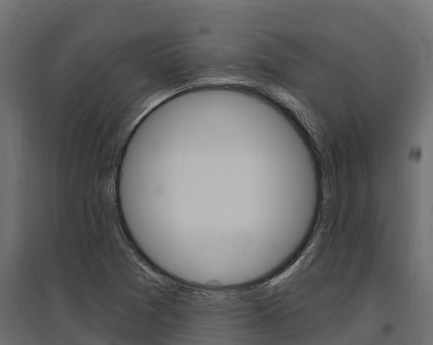 X0000097771361200803070850
