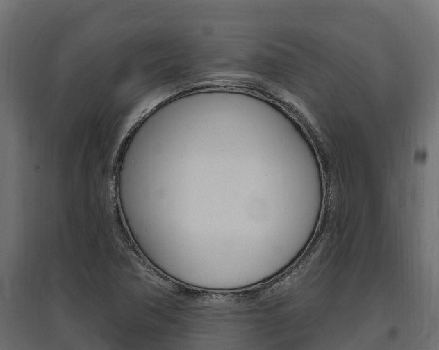 X0000097771362200803070850