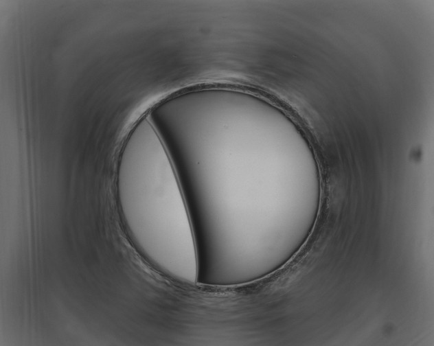 X0000097771363200803070850