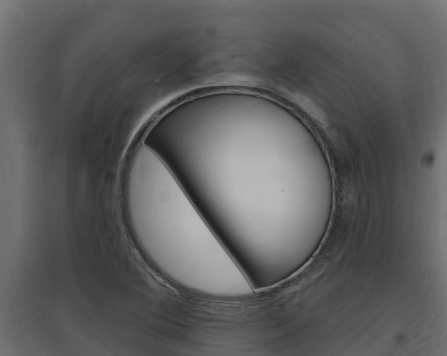 X0000097771364200803070850