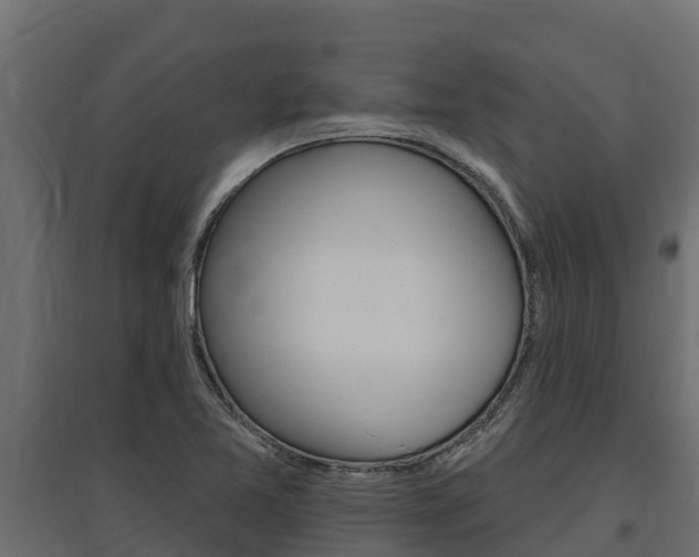 X0000097771365200803070850