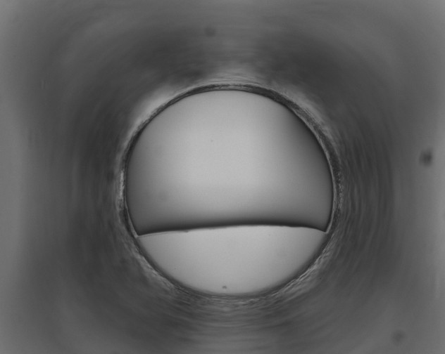 X0000097771366200803070850