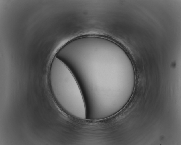 X0000097771367200803070850