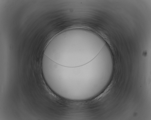 X0000097771369200803070850