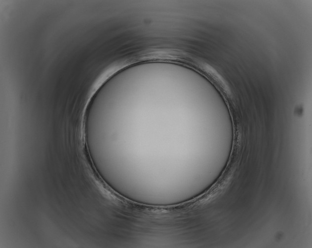 X0000097771370200803070850