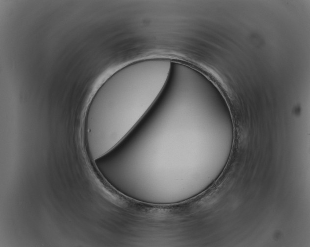 X0000097771371200803070850