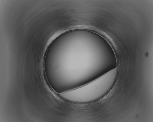 X0000097771373200803070850