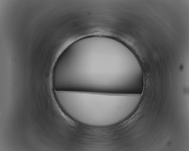 X0000097771375200803070850