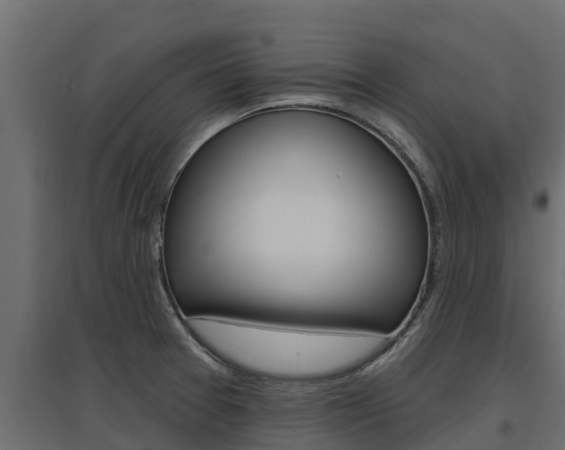 X0000097771377200803070850