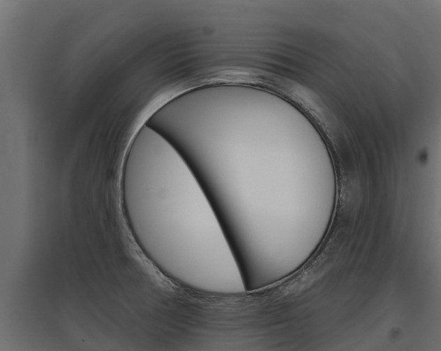 X0000097771378200803070850