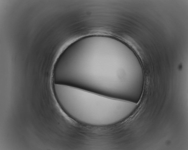 X0000097771379200803070850