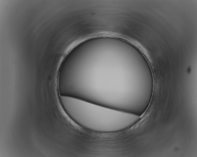 X0000097771381200803070850