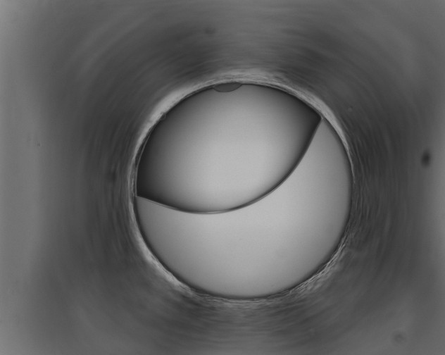 X0000097771389200803070850