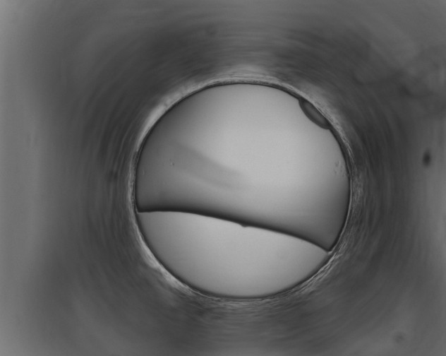 X0000097771390200803070850