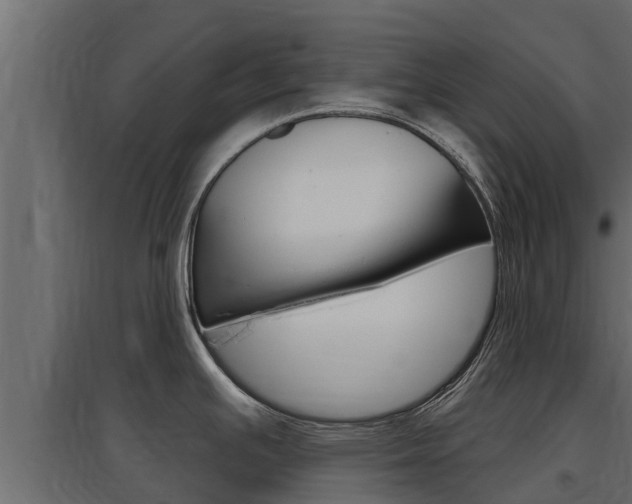 X0000097771391200803070850