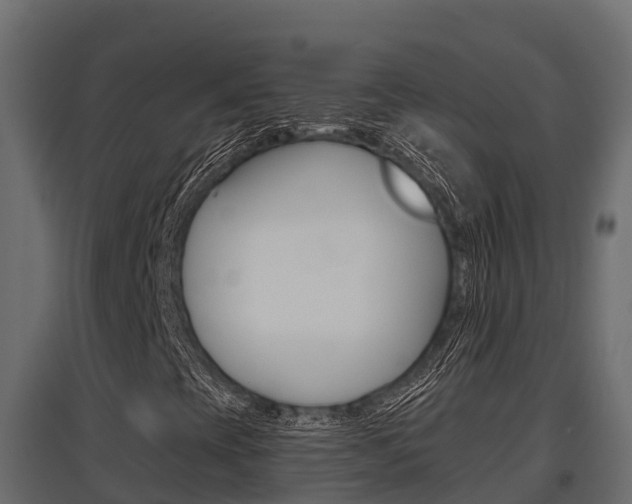 X0000097771393200803070849