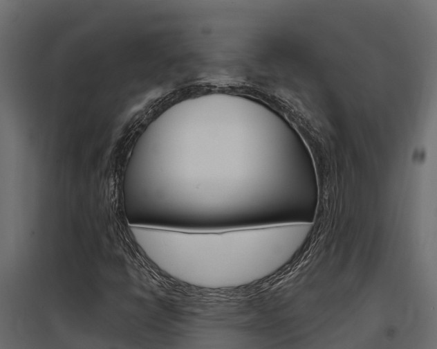 X0000097771398200803070849