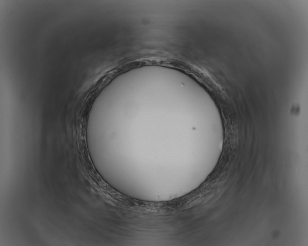X0000097771399200803070849