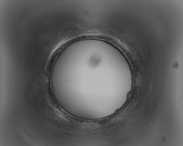 X0000097771400200803070849