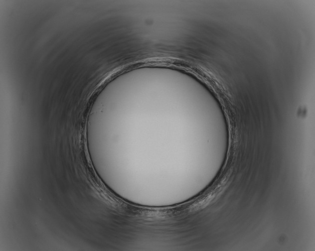 X0000097771401200803070849