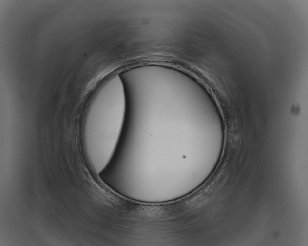 X0000097771402200803070849
