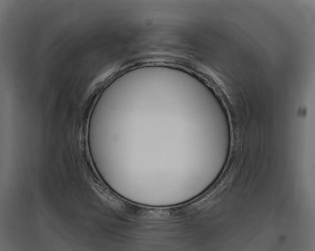 X0000097771403200803070849