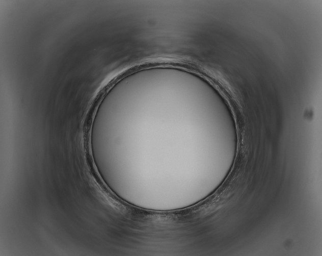 X0000097771404200803070849