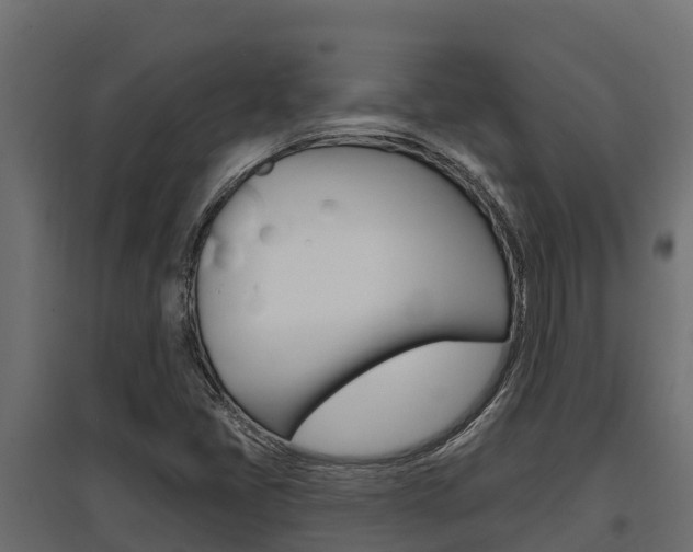 X0000097771405200803070849