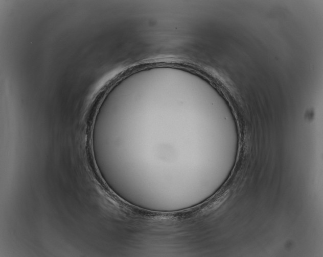 X0000097771406200803070849