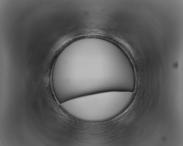X0000097771407200803070849