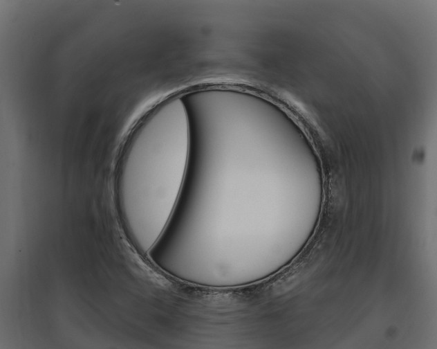 X0000097771408200803070849