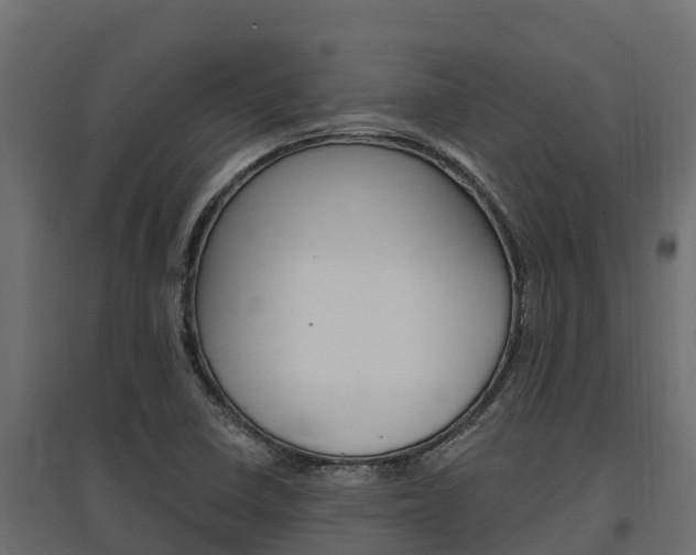 X0000097771410200803070849