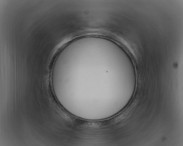 X0000097771411200803070849