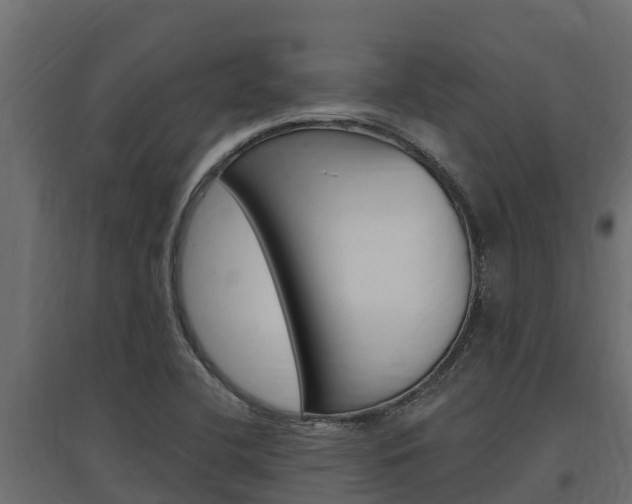 X0000097771412200803070850