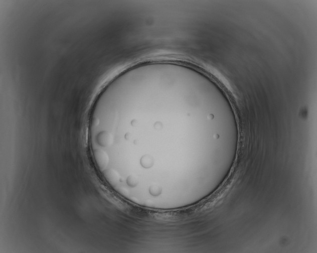 X0000097771413200803070850