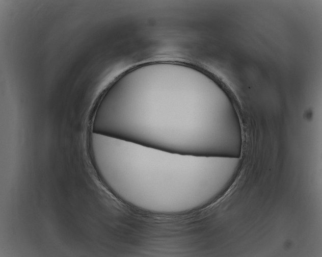 X0000097771415200803070850