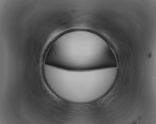 X0000097771416200803070850