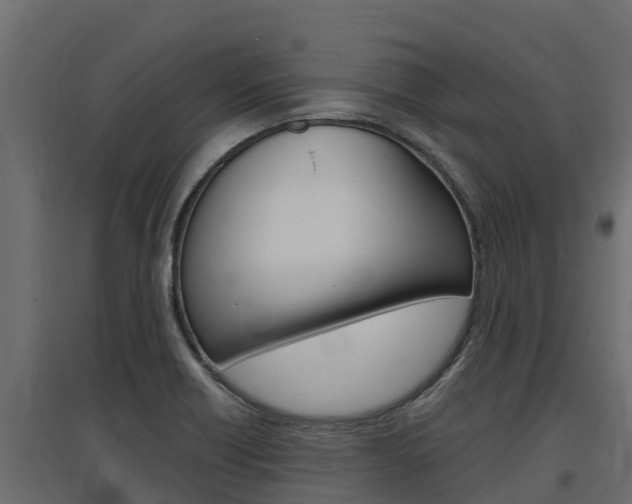 X0000097771418200803070850