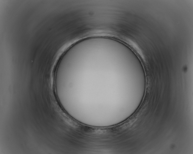 X0000097771419200803070850
