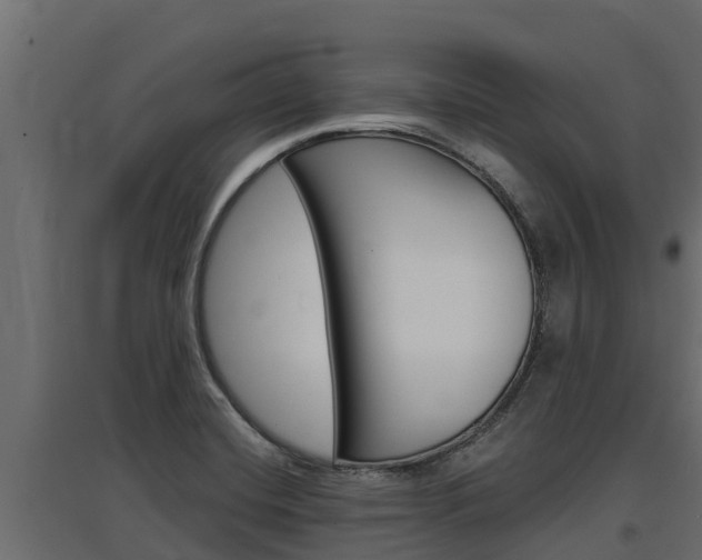 X0000097771420200803070850