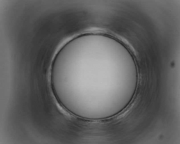 X0000097771421200803070850