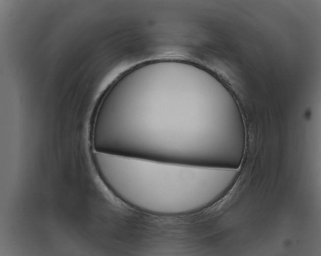 X0000097771422200803070850