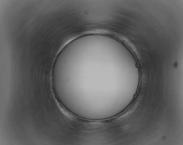 X0000097771425200803070850